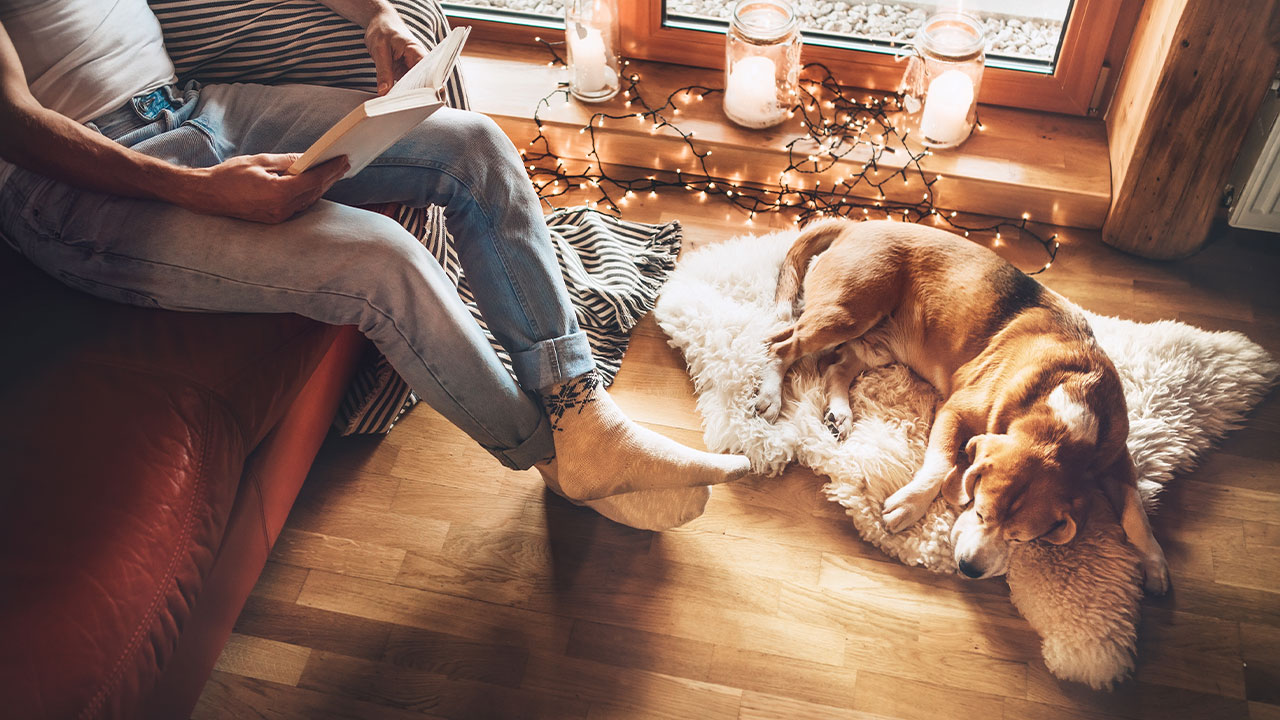 Largo Leisure Holidays is just ‘Paw-fection’