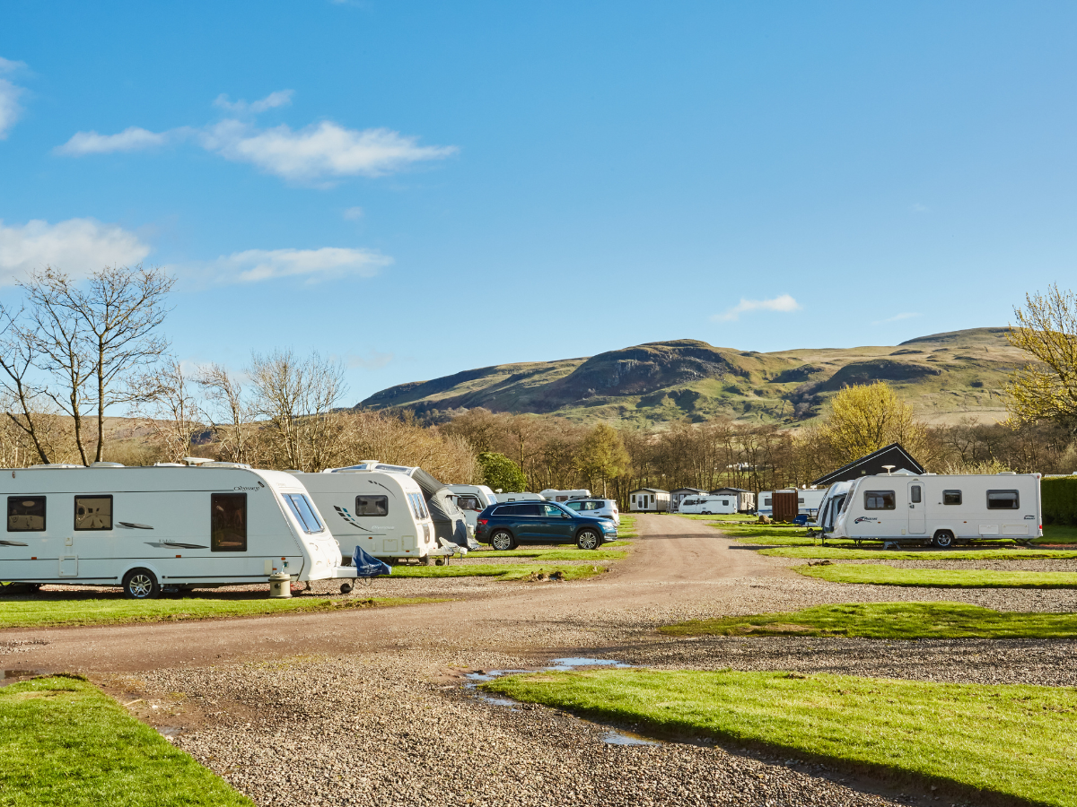 accommodation options campsie glen.png